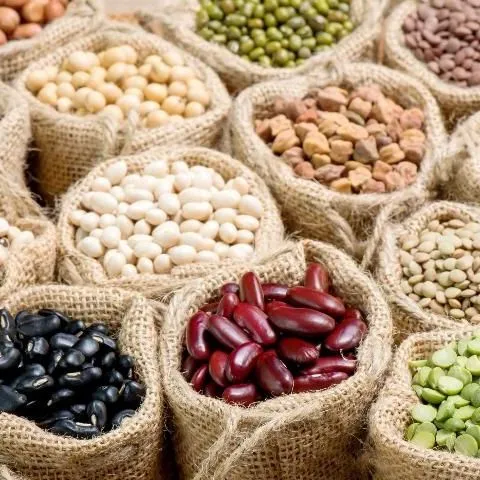 thumbnail for publication: Facts About Folate
